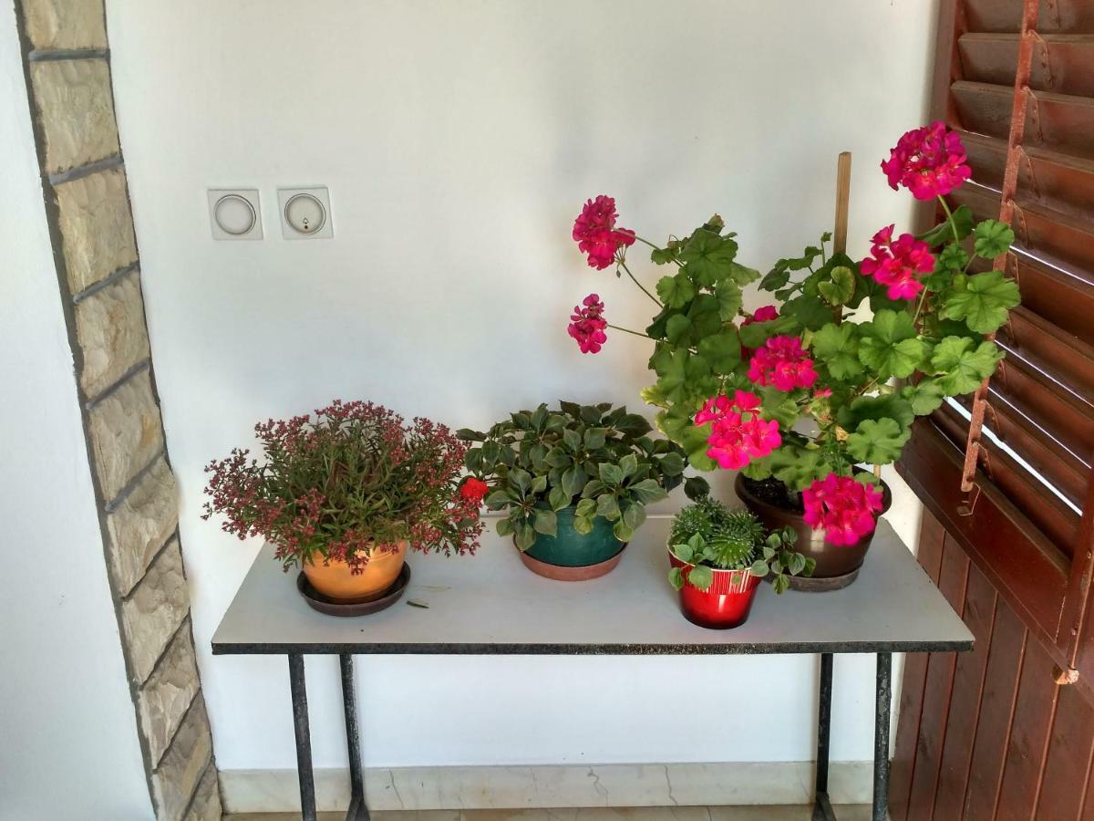 Apartmani Tonica Sukošan Exterior foto